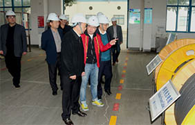 2015年11月22日，，，郎溪县党政代表团一行来ag真人国际电缆旅行考察