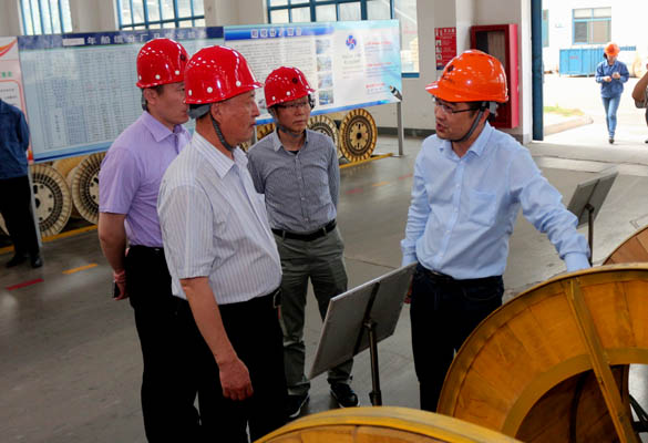 2016年5月14日，，，，，宁夏回族自治区人民政府研究室副主任苏昀一行来ag真人国际电缆调研