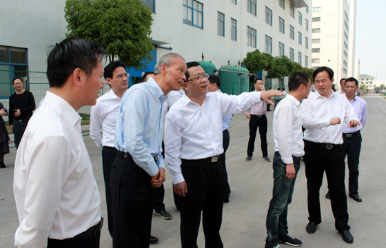 常州市市长丁纯来ag真人国际电缆督查新能源项目建设