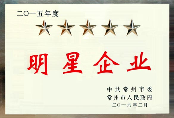ag真人国际电缆在常州市“重大项目推进年”发动大会上再次载誉而归