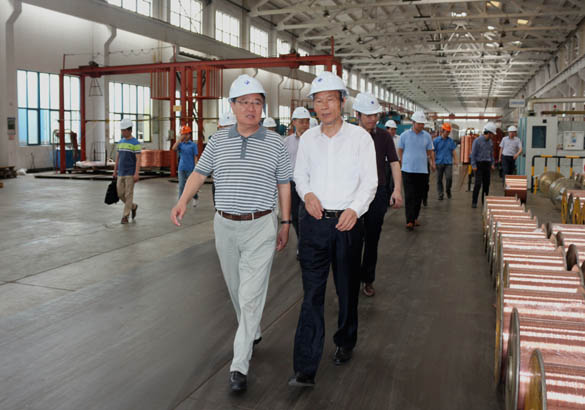 中国恒天集团董事长张杰一行来ag真人国际电缆旅行考察