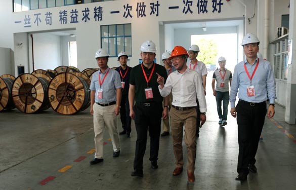 靖江市、溧阳市青商会齐聚ag真人国际电缆旅行交流