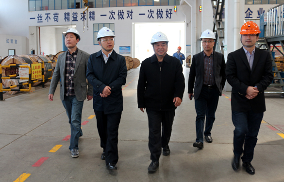 2015年3月26日，，，，江苏省射阳县向导一行来ag真人国际电缆视察