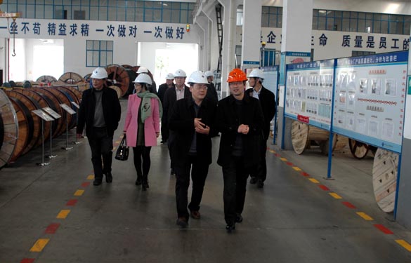 2015年3月13日，，，，金坛市经信局向导一行来ag真人国际电缆考察