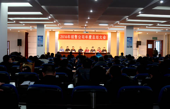 ag真人国际电缆召开2014年销售公司年度总结大会