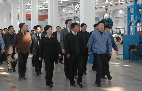 安徽省天长市党政代表团百余人来ag真人国际集团旅行考察