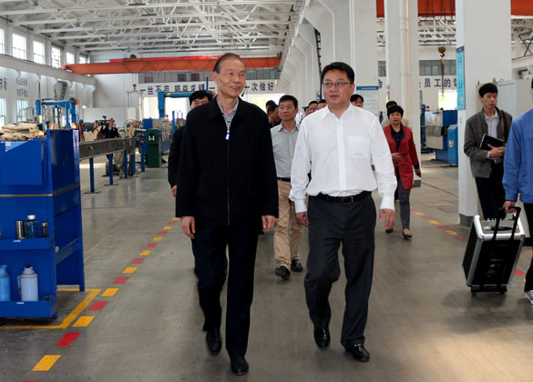 武进区党政代表团来ag真人国际集团旅行考察