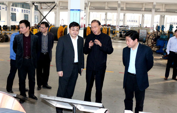 常州市委副书记、市政府党组书记费高云来ag真人国际集团调研