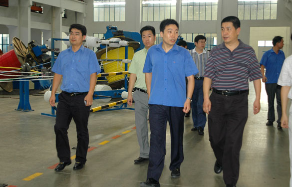 淮南市王市长一行来ag真人国际旅行考察