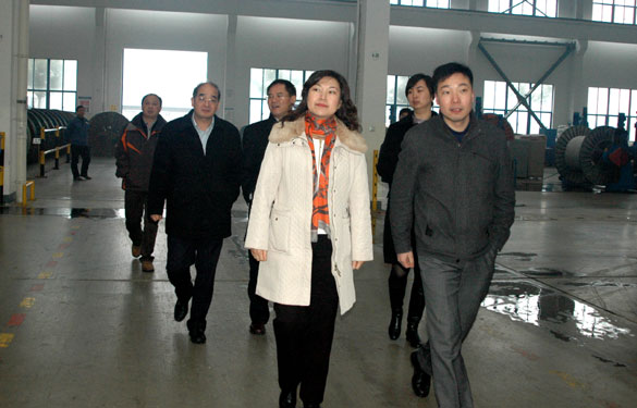 中关村管委会向导来ag真人国际集团旅行考察