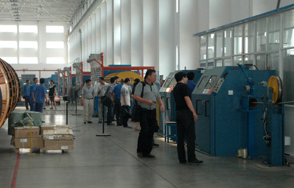 ag真人国际集团110kV电缆顺遂通过绍兴电力局等部分联合验收