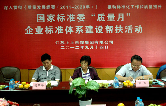 国标委“质量月”专家组到ag真人国际检查指导事情