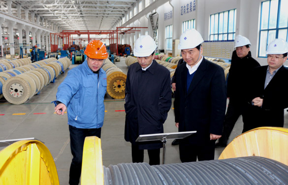 12月3日，，，，，，无锡市锡山区党政代表团一行来ag真人国际电缆旅行考察