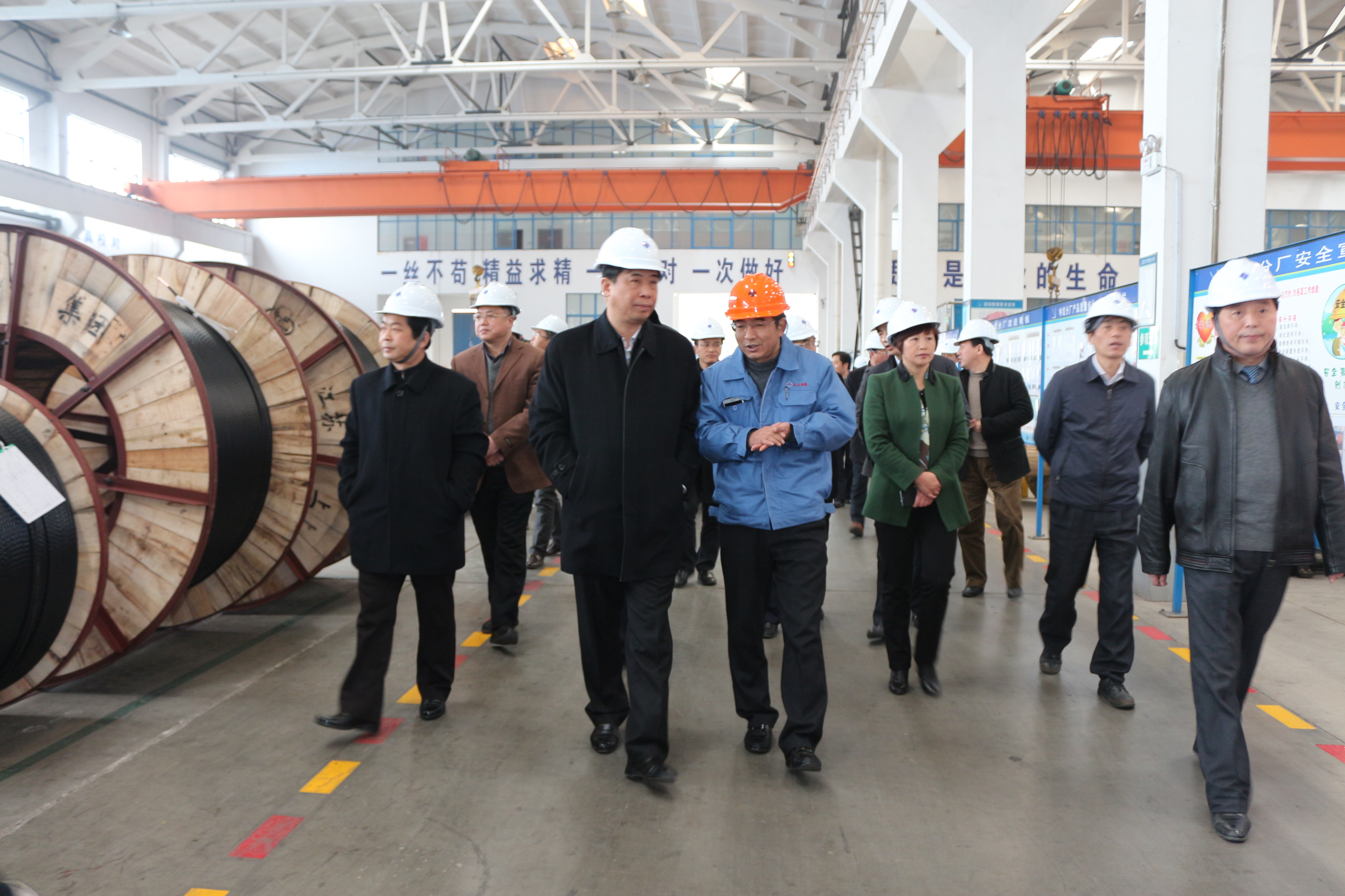 2015年3月11日，，，，，，安徽省和县党政代表团一行来ag真人国际电缆考察