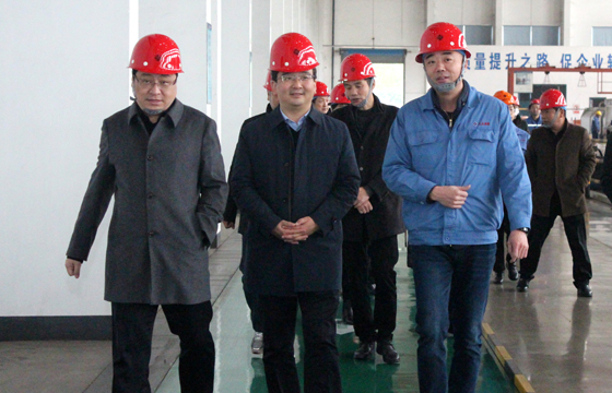 2020年12月8日，，，，，广德市市委常委、常务副市长邱铁军一行来ag真人国际电缆考察