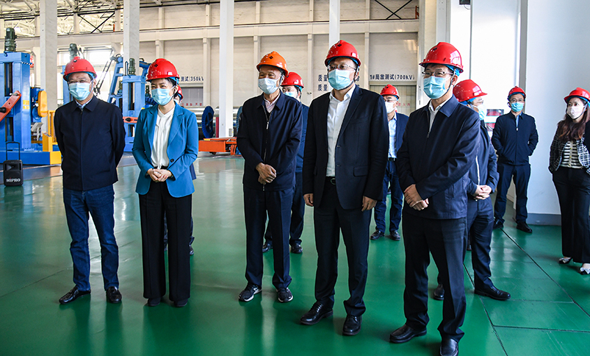 江苏省副省长胡广杰一行来ag真人国际电缆调研