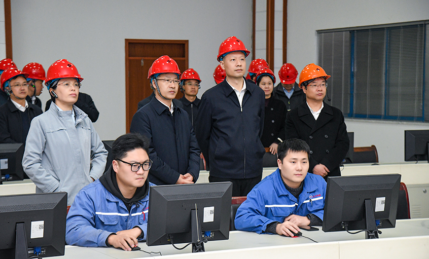 溧水区党政代表团来ag真人国际电缆考察