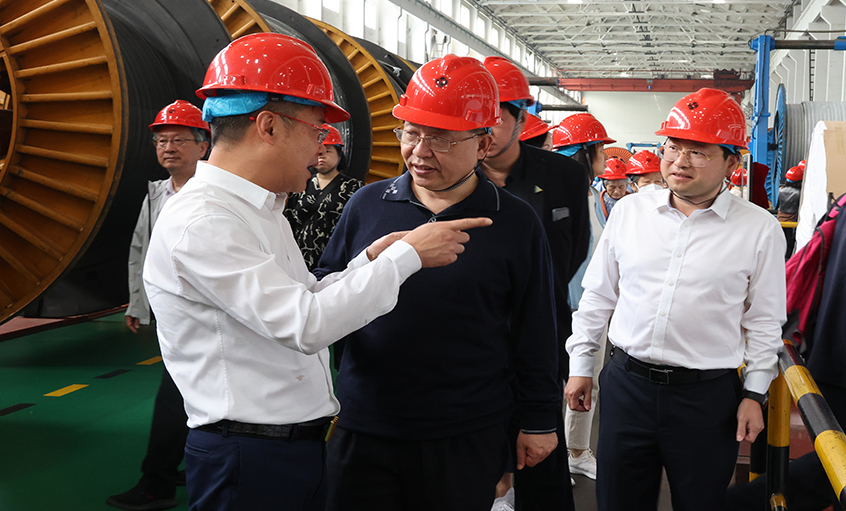 14位两院院士和专家学者到访ag真人国际电缆