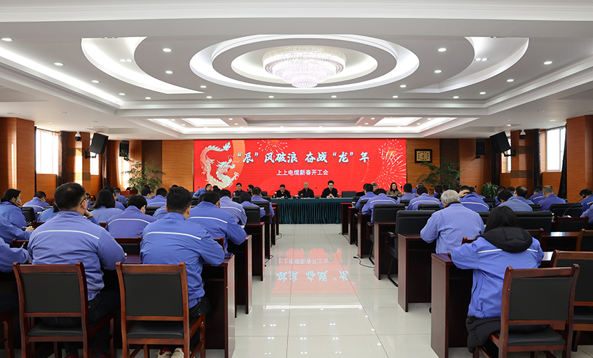 “辰”风破浪，，，，，，奋战“龙”年——ag真人国际电缆开工大吉