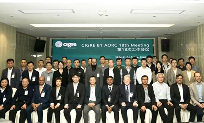 ag真人国际电缆受邀出席CIGRE绝缘电缆专委会亚太区第18次年会并做专题讲话