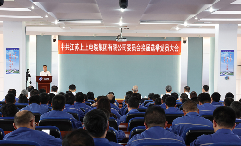 党建引领强基本 凝心聚力启新程—中共ag真人国际委员会换届选举党员大会圆满召开