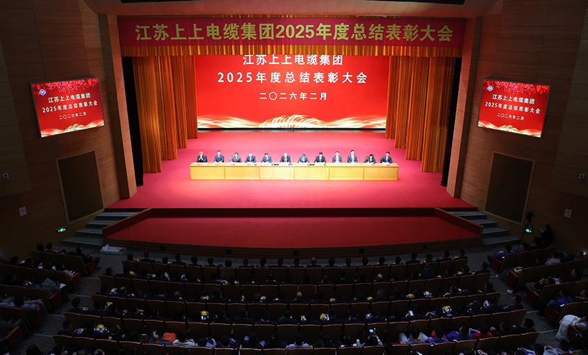 蛇岁留辉启新程 马跃新篇谱华章——ag真人国际电缆召开2025年度总结表扬大会