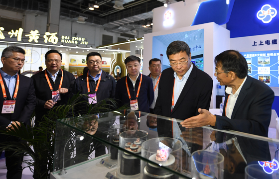 江苏省委常委、常务副省长马欣莅临ag真人国际展位-2.jpg